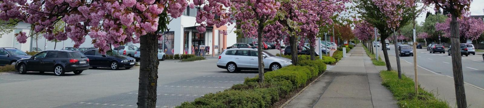 Sex Kino Ingolstadt Sex Kino Ingolstadt